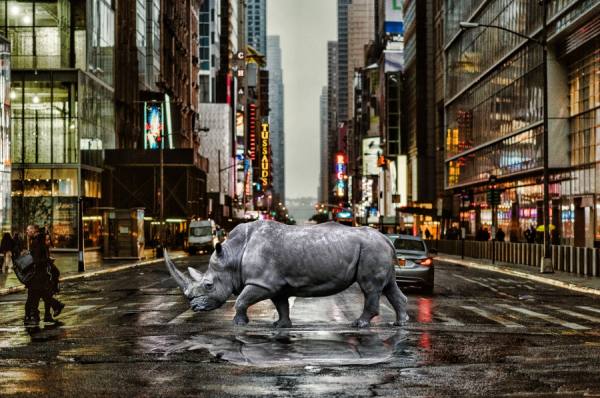 Photograph Giomillo Jaravanny New Yorkers on One Eyeland